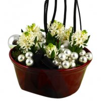 Gnistrande hyacinter - Jul blommor - Skicka blommor och presenter i %city%
